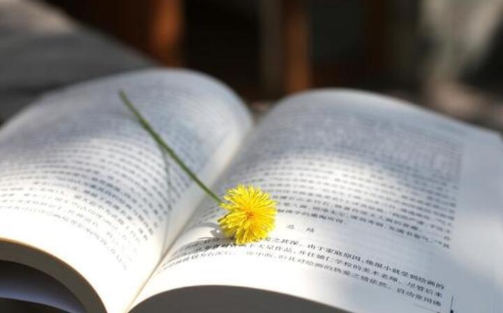 读书的好处优美句子文案