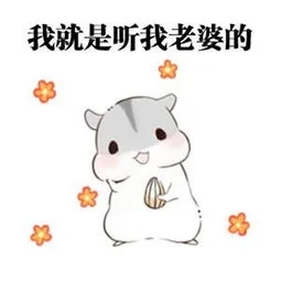 结婚老公对老婆说的话