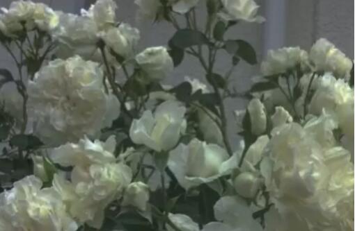 心碎的说说文案短句