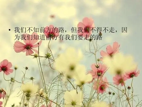 优美的句子文案摘抄及赏析