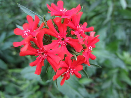 特别感动的长文案