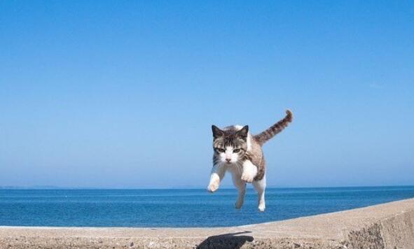 晚安问候语简短一句话