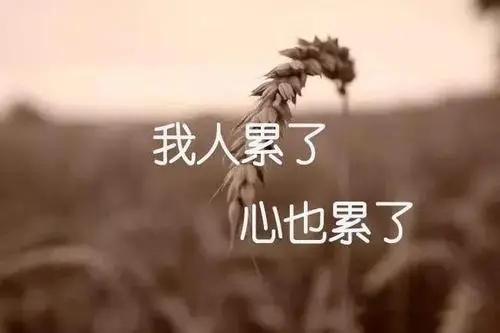 这段时间好累的句子文案