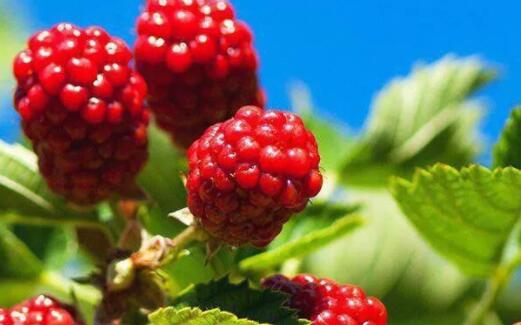 朋友圈励志早安