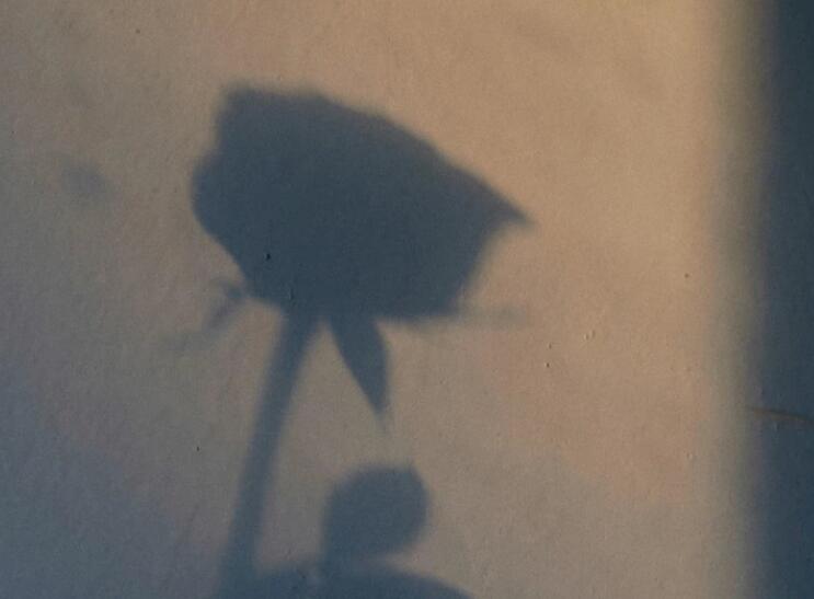 凌晨三点的心情说说文案