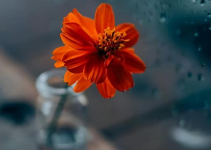 让人充满斗志的句子文案