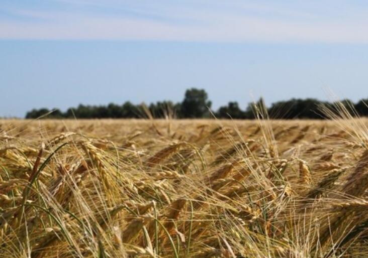 付出汗水收获精简句子文案