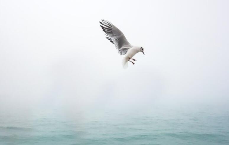 从学校到工作的句子文案