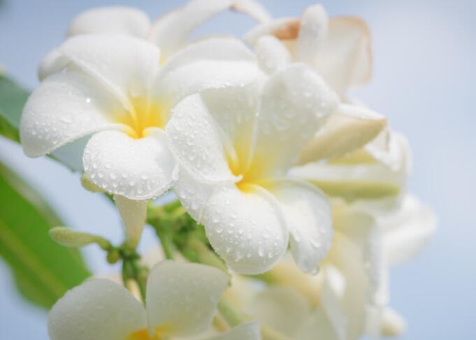 朋友圈短句八个字