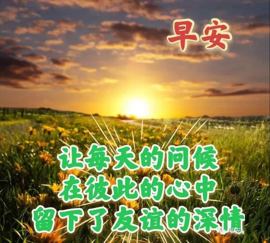 清晨问候语录文案