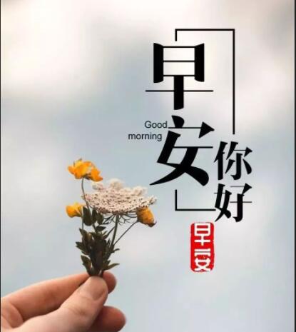 早上好的图片祝福语