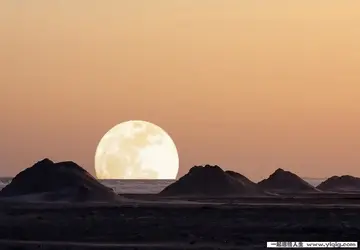 静心励志的经典语录文案