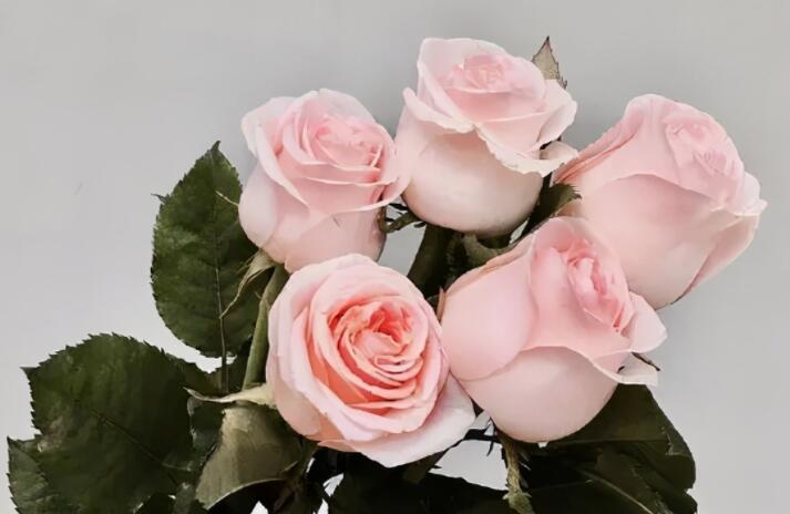 从短发到长发的文案