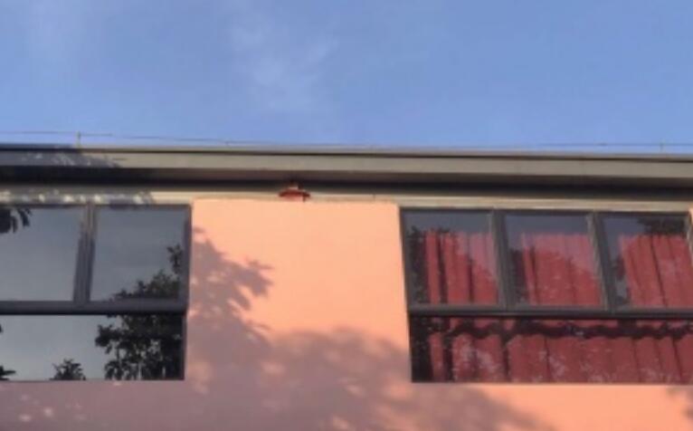 励志的西班牙语短句