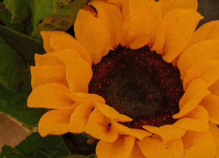 新的一月怎么发朋友圈