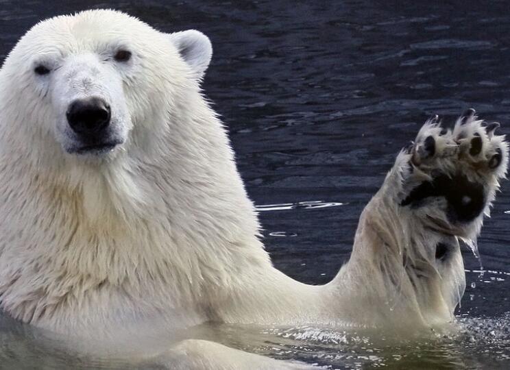 世界问候日的句子文案