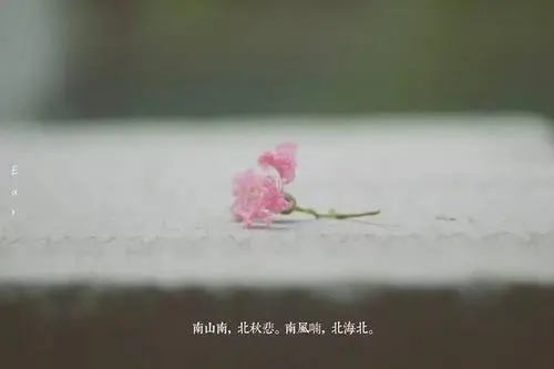 形容南方地区的诗句文案