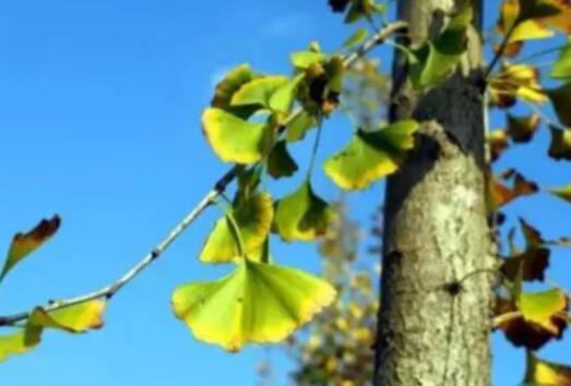 心中气愤窝火的说说文案