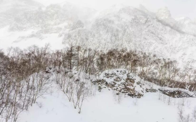 大寒关心问候的诗句文案