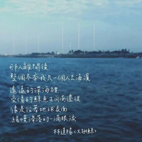 借助大海表示心情忧伤句子文案
