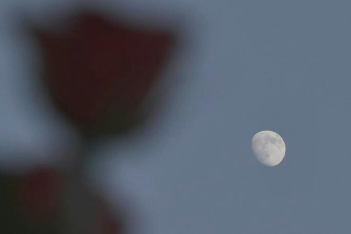 让人瞬间催泪的文案