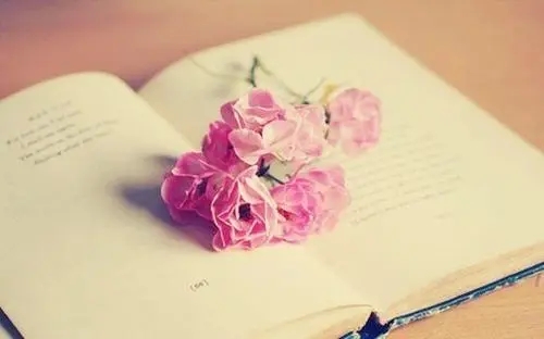 女人情感心灵鸡汤经典语录文案