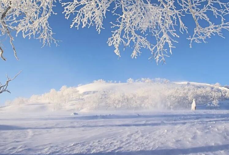 五句带雪的诗句文案大全