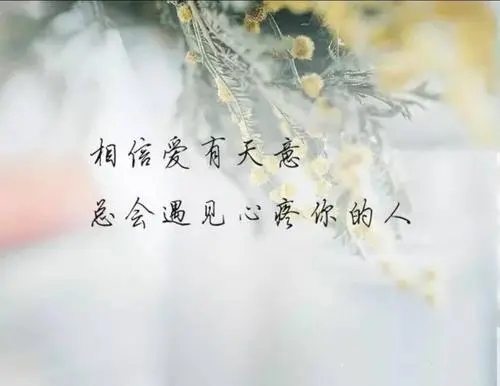 脆弱不堪的爱情句子文案