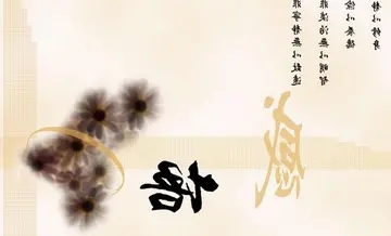 名言名句文案及体会感悟50