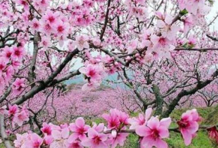 命运为什么如此折磨我说说文案