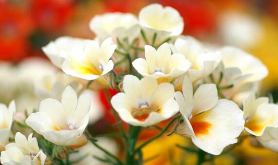 心胸宽广的句子文案