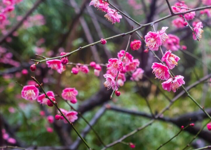 做个坚强的自己说说句子文案