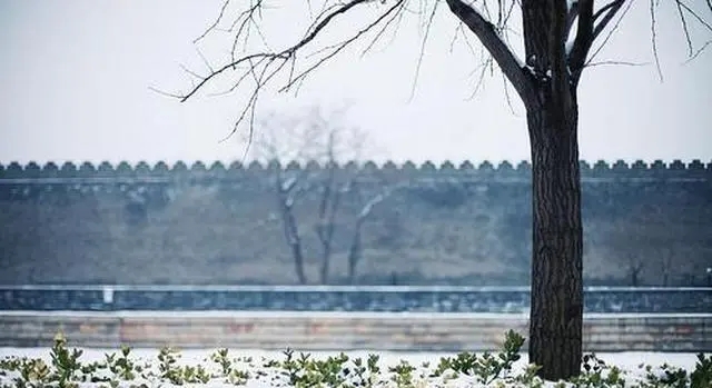 一个人孤独的说说文案伤感