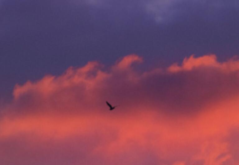 偶尔失眠的说说文案朋友圈