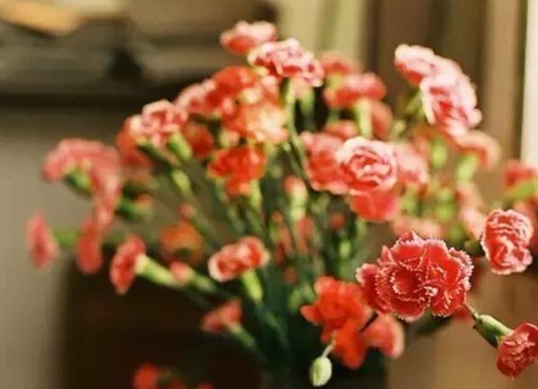 6个字80条优美句子文案