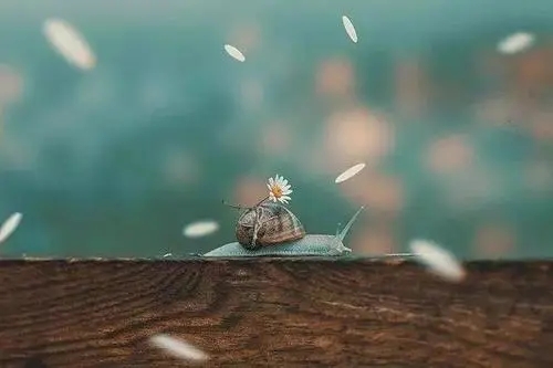 简短一句话签名