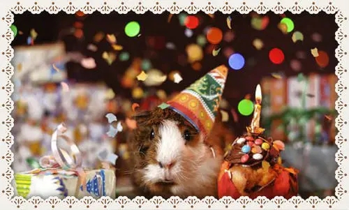 十八岁的祝福语简短