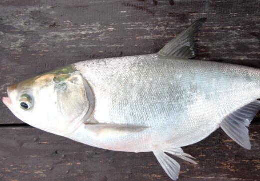 美好一天的心情文案