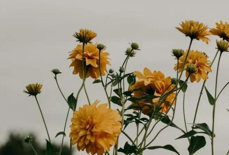 微信动态说说文案关于心情