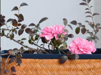 2024年人生感悟说说文案