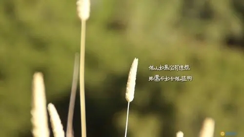 女人做微商的个性签名