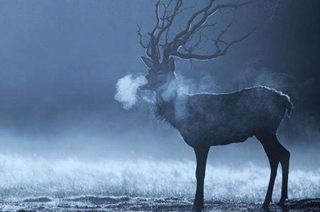 表示心累的句子文案致自己