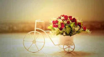 励志句子文案大全