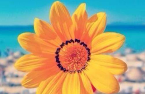 简单幸福祝福语言句子文案