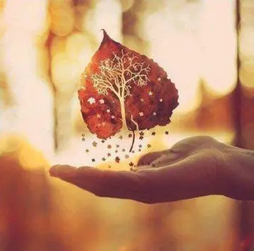 断舍离最后一段话