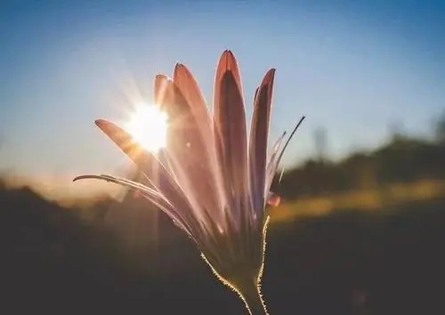 简短心情好的句子文案