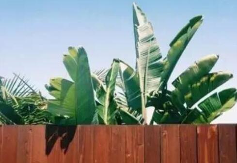 早安正能量的句子文案励志