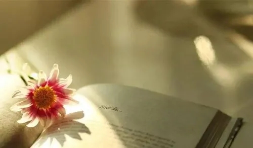 想念一个人的心情短语