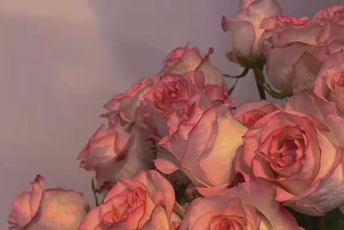 表达在乎一个人的情话文案