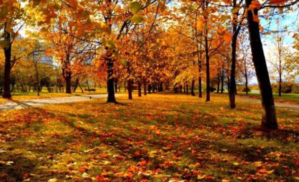 正能量的短句子文案十字